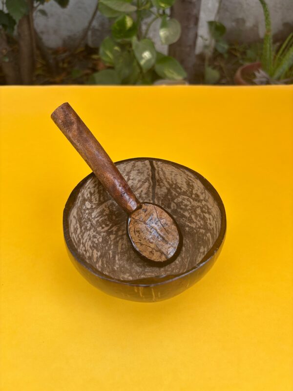 ice cream bowl