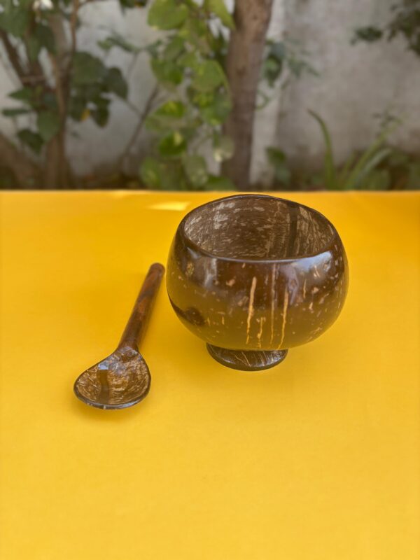 rice bowl