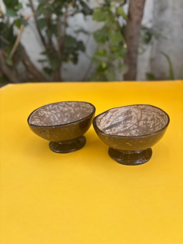 dry fruits bowl