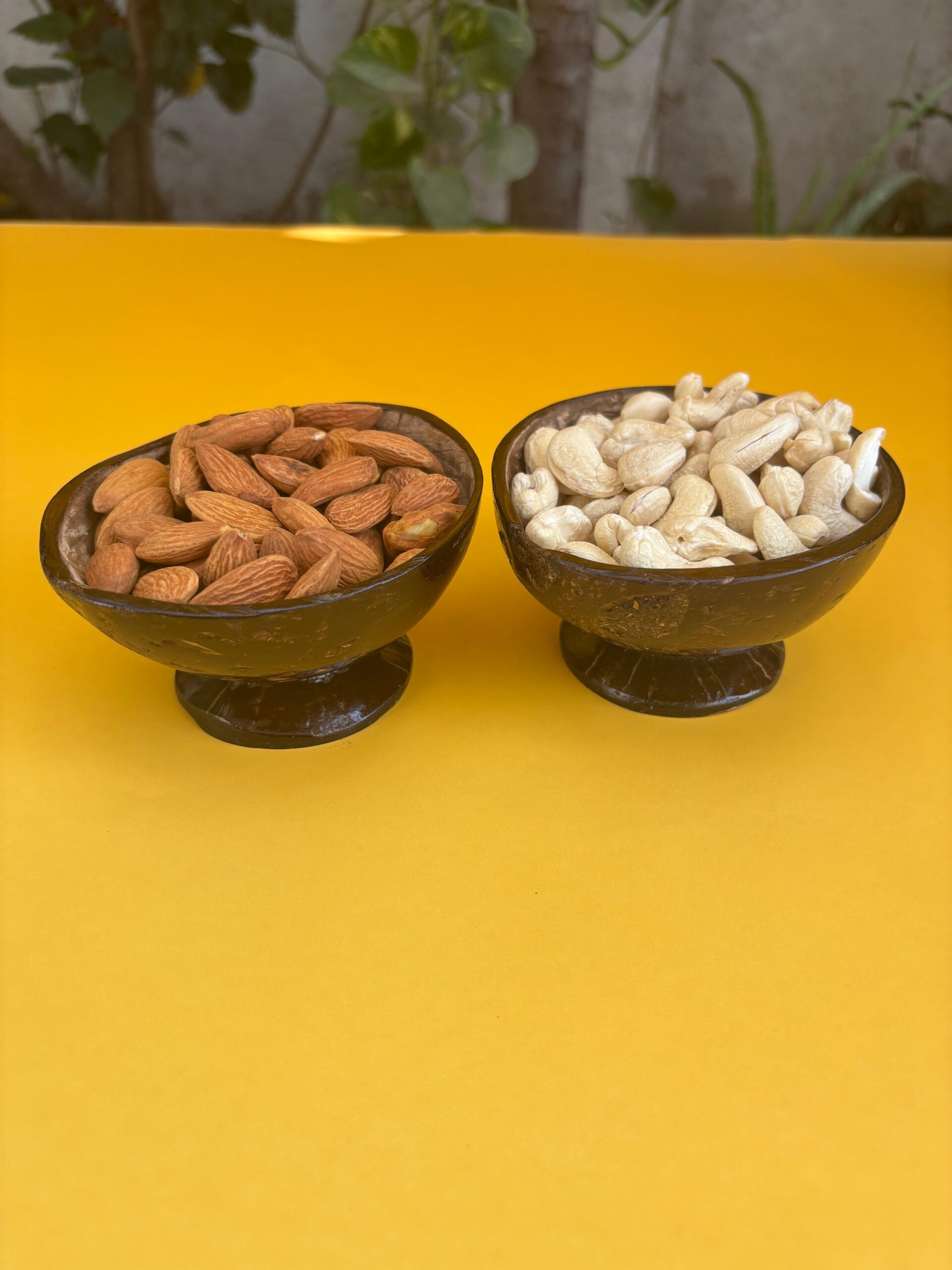 dry fruits bowl
