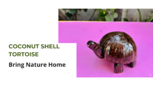 Coconut shell tortoise
