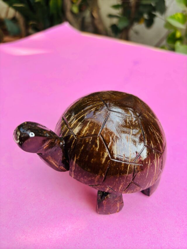 Coconut Shell Tortoise: A Symbol of Luck & Nature!