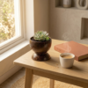 coconut shell plant pot