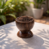 coconut shell plant pot