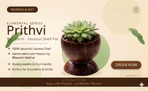 Coconut Shell Plant Pot