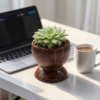 coconut shell plant pot