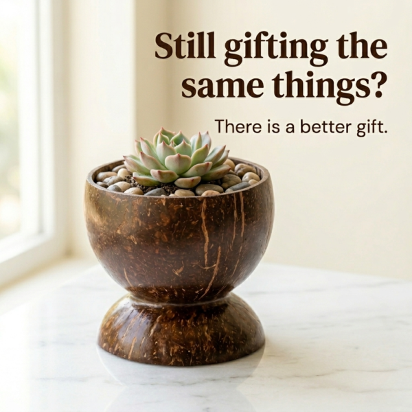 coconut shell plant pot